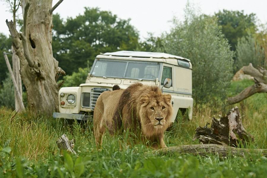 Où se trouve le zoo du pal 