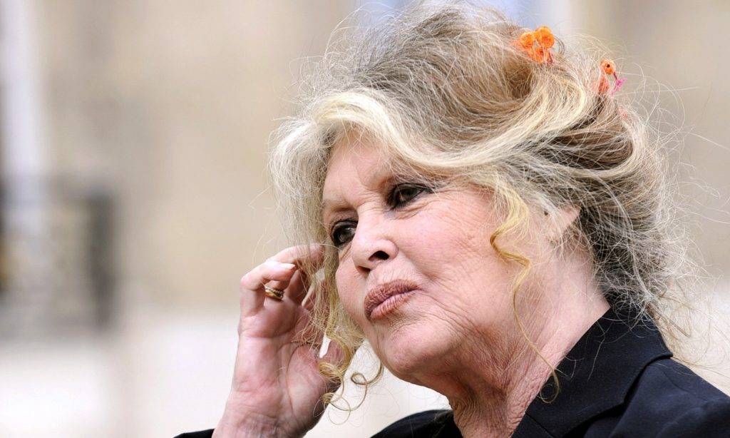 Mort de brigitte bardot 