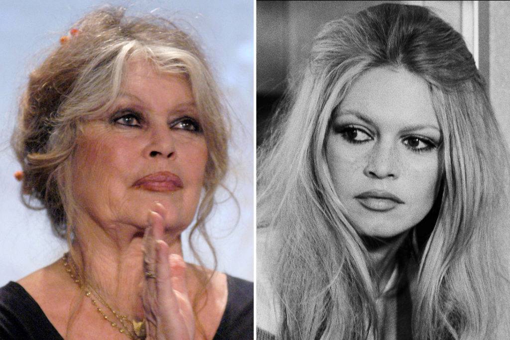 Mort de brigitte bardot 