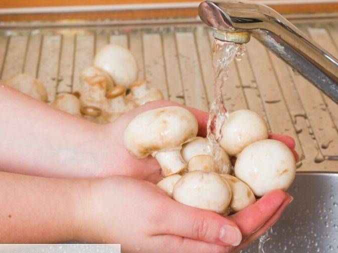 Comment nettoyer les champignons de paris 