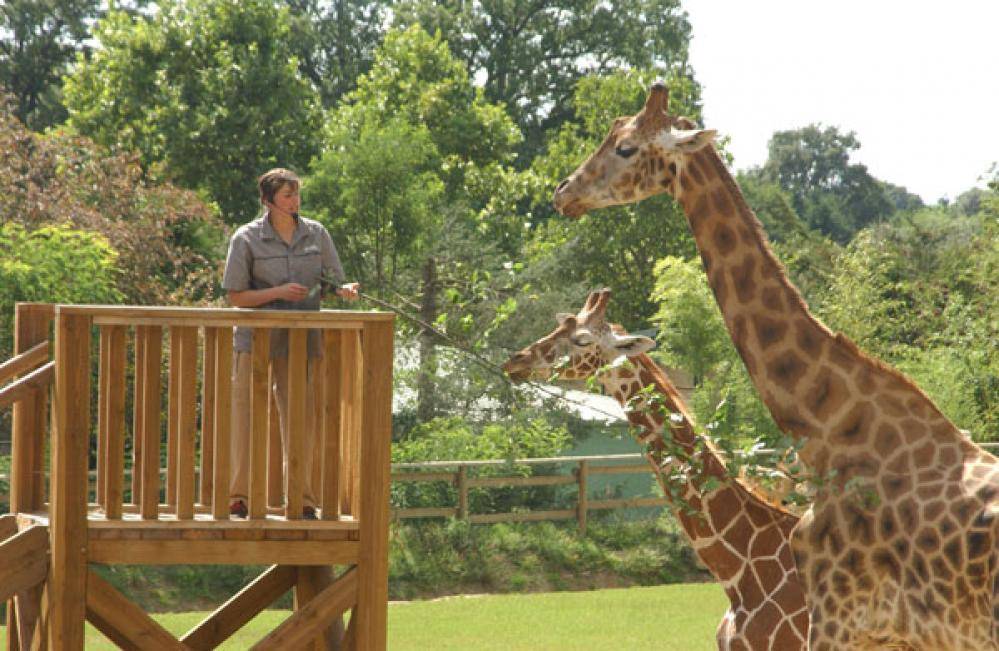 Où se trouve le zoo du pal 