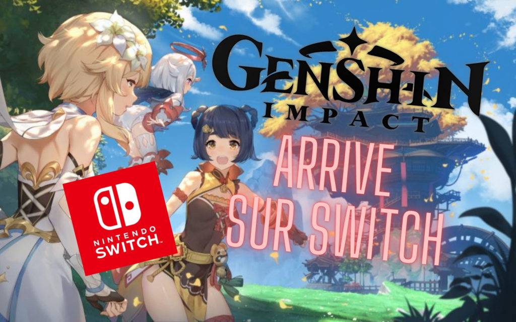 Genshin Impact Switch Prix 