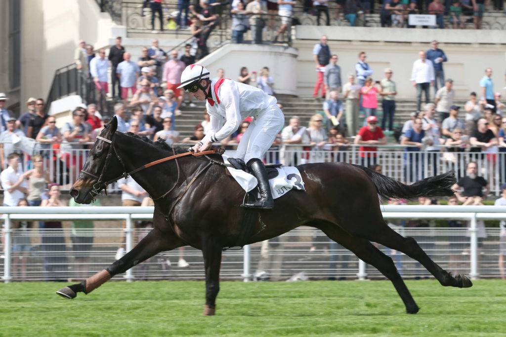 Prix de pau 2021 auteuil 