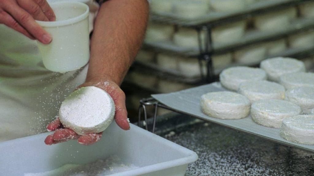 Quels Fromages Sont Contamines Blaujournal 