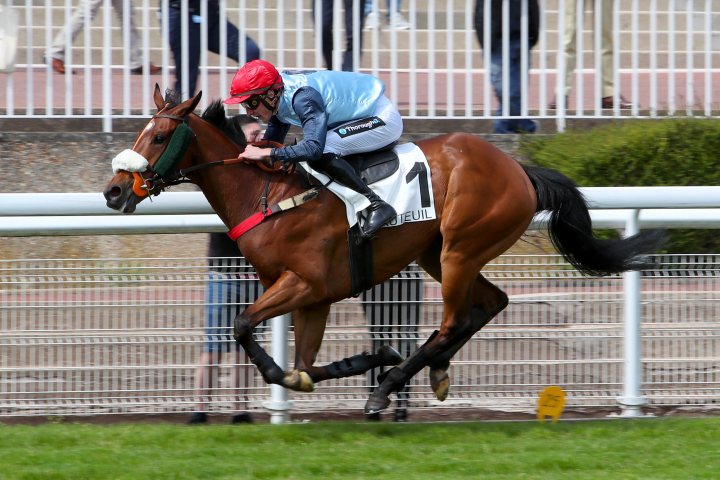 Prix de pau 2021 auteuil 