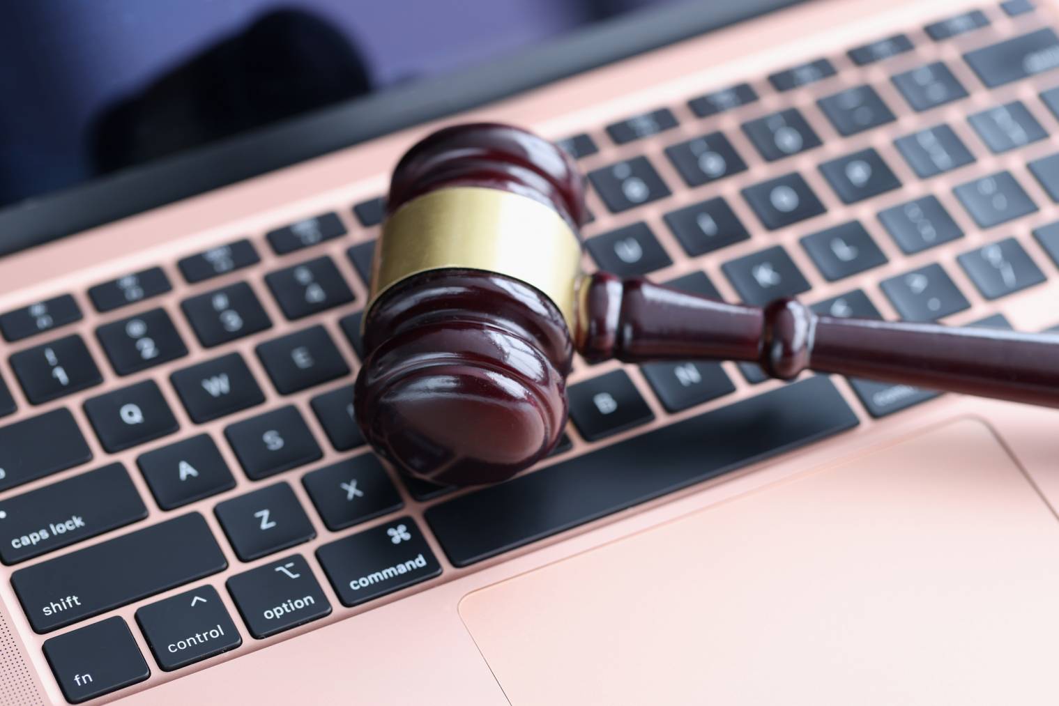 Quelles autorités assurent la protection des