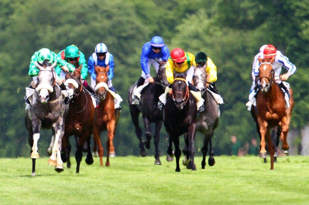 Prix de pau 2021 auteuil 