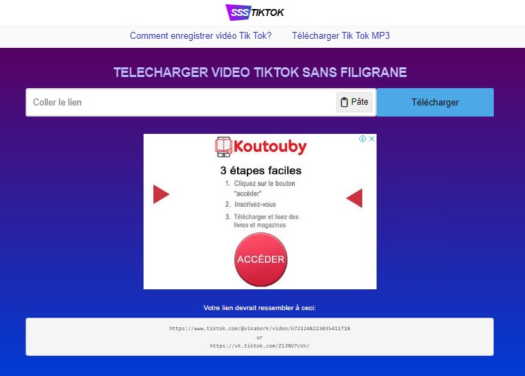 Enregistrer tiktok sans logo