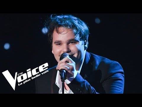 Fils axel bauer the voice