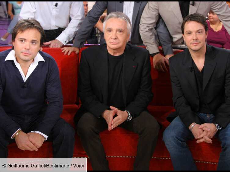 Fils michel sardou