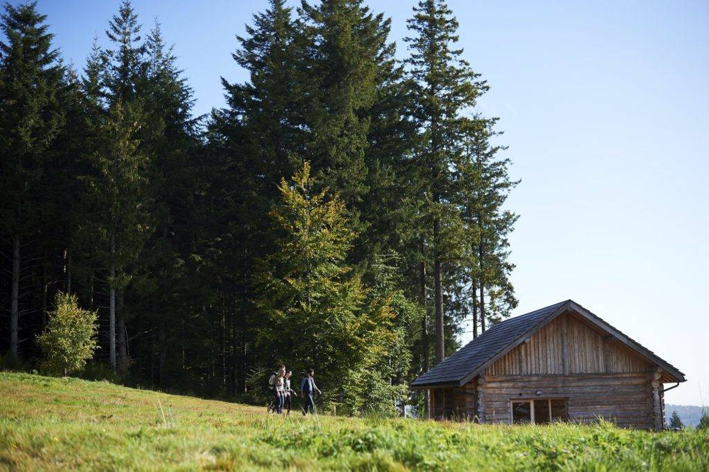 Pourquoi plateau des millevaches