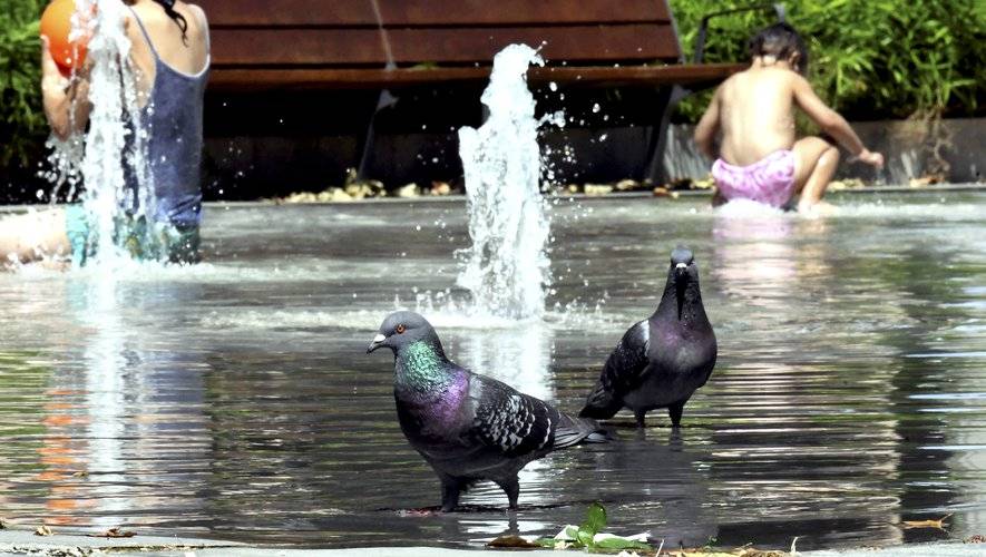 Quel departement en alerte rouge canicule