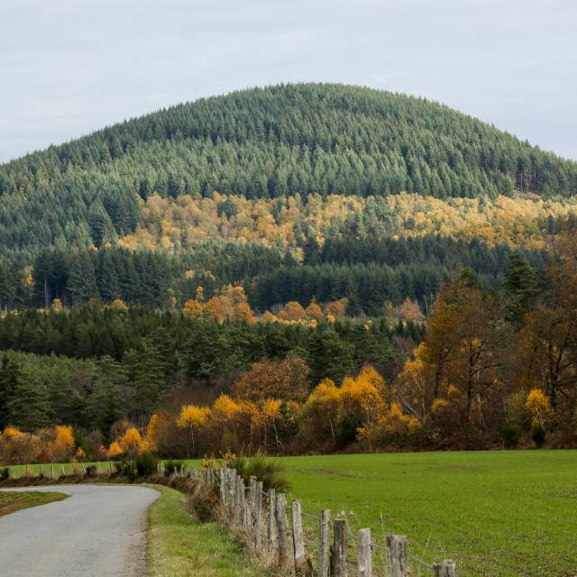 Pourquoi plateau des millevaches