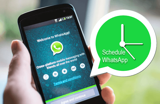 Message programmé whatsapp