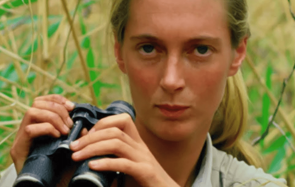 Jane Goodall Mort