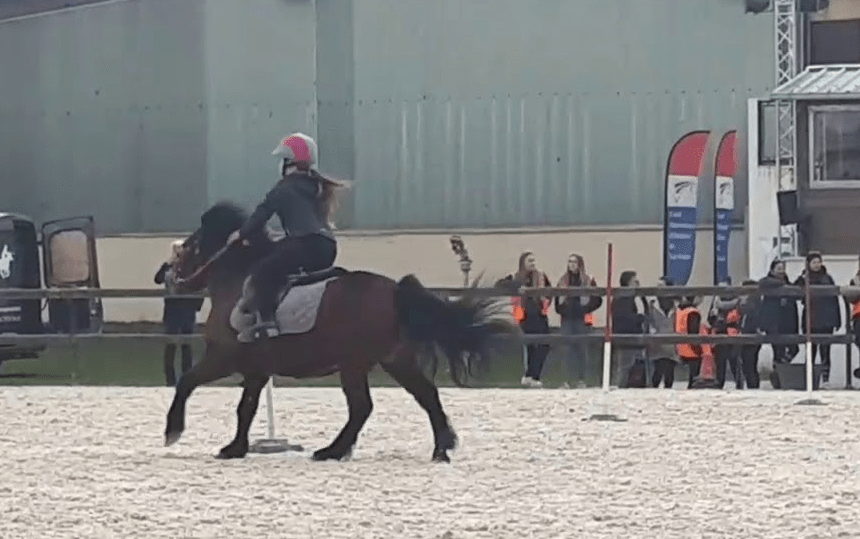 Accident centre equestre poney