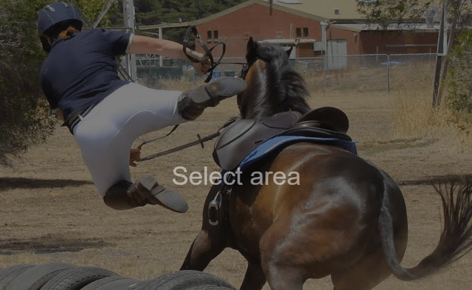 Accident centre equestre poney