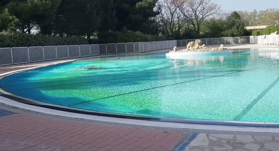 Noyade Piscine Grand Mere