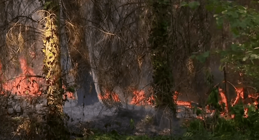 Feux incendie sarthe