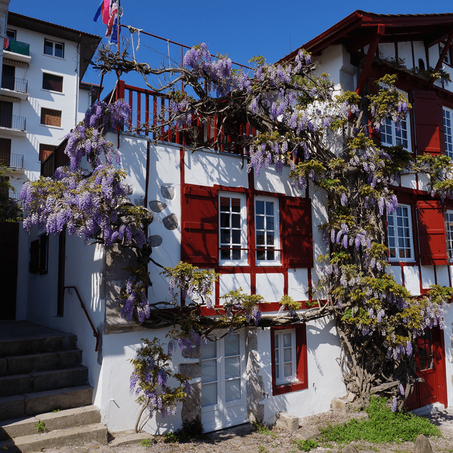 Les Enfants De Saint Jean De Luz