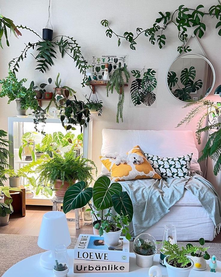 plant shelf styling