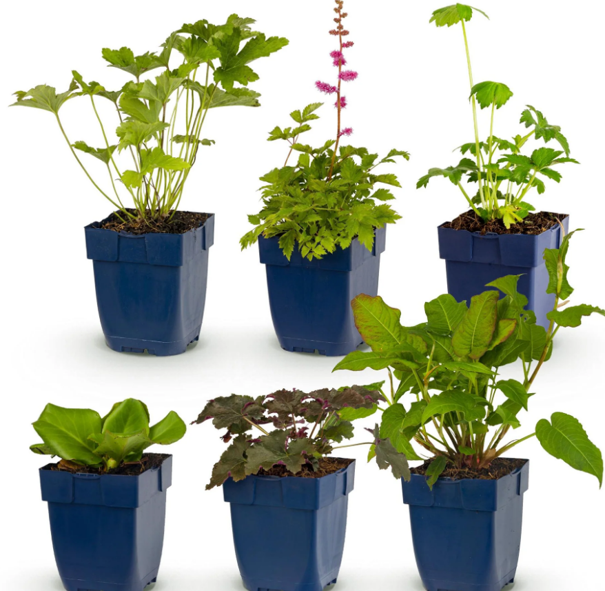 Sacs de culture en géotextile avec herbes aromatiques et fraisiers sur un balcon