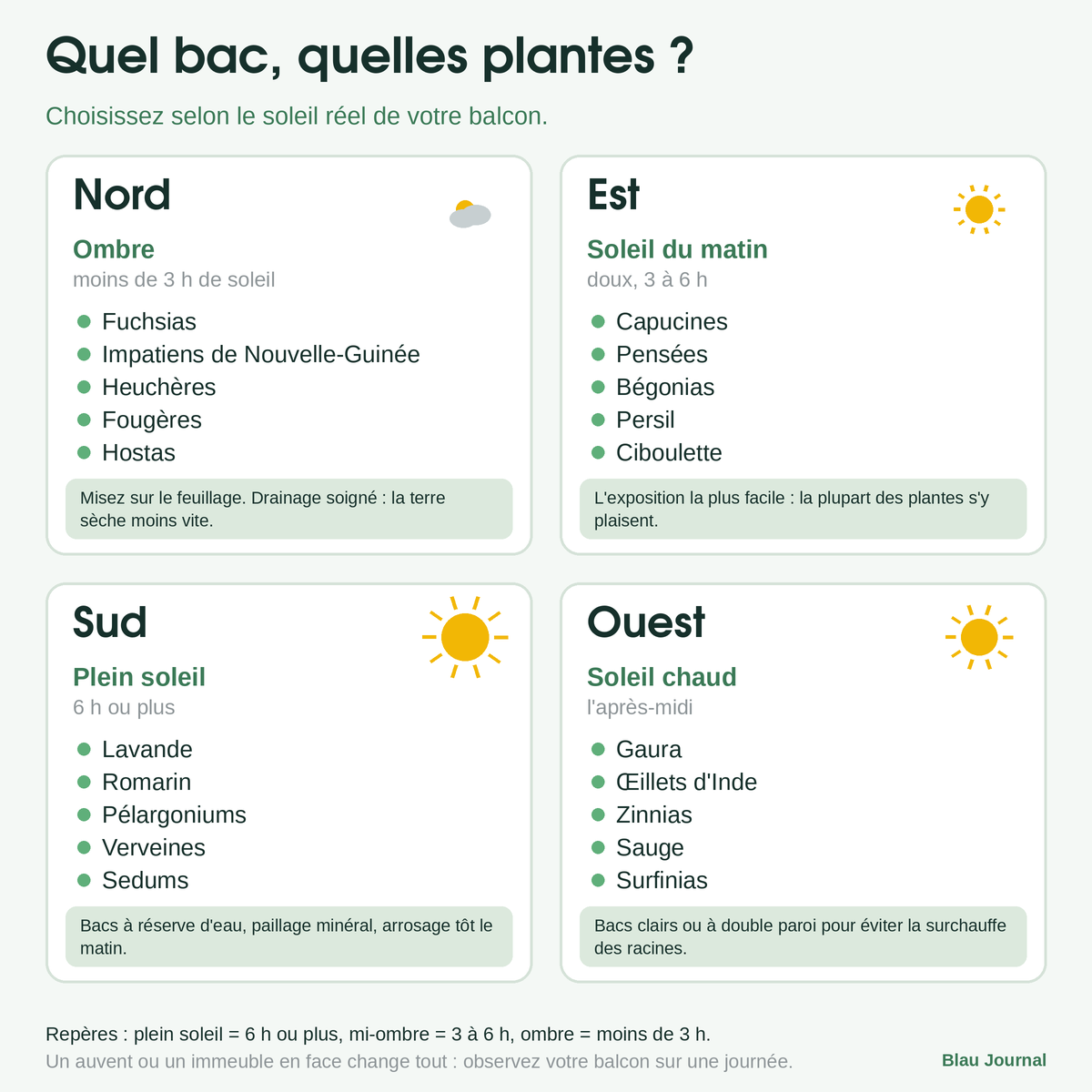 Guide illustré des plantes de balcon selon l’exposition : nord, est, sud et ouest
