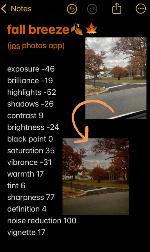 12 Aesthetic iPhone Photo Editing Recipes for Fall, Beach & Golden Hour